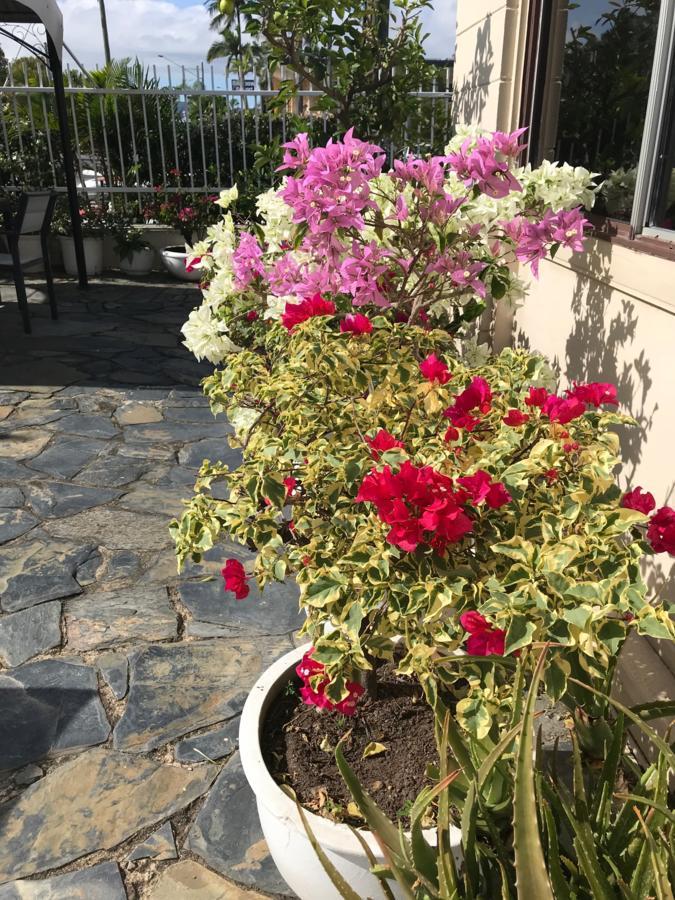 Cairns Motor Inn Zewnętrze zdjęcie